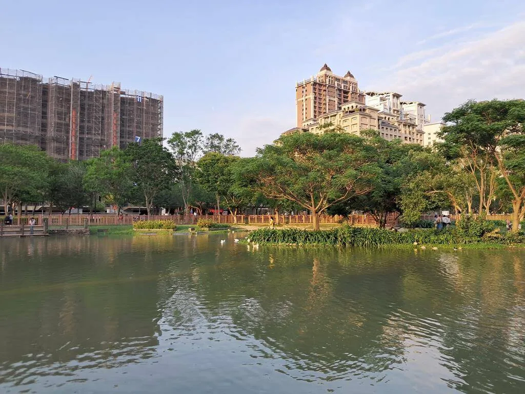 水圳森林公園湖面倒映樹木與住宅建築